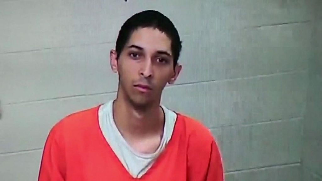 Swatter sentenced to 20