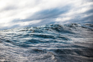 Oceans in Danger