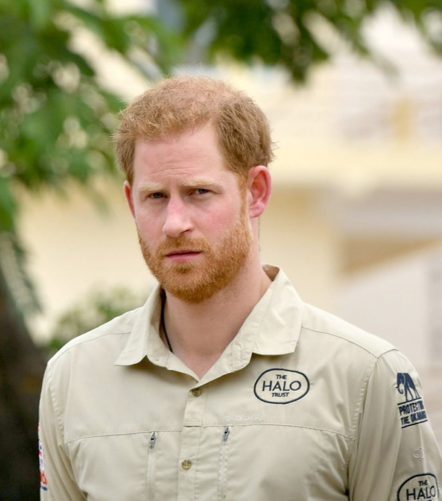 Prince Harry Visits Diana Tree In Huambo Angola