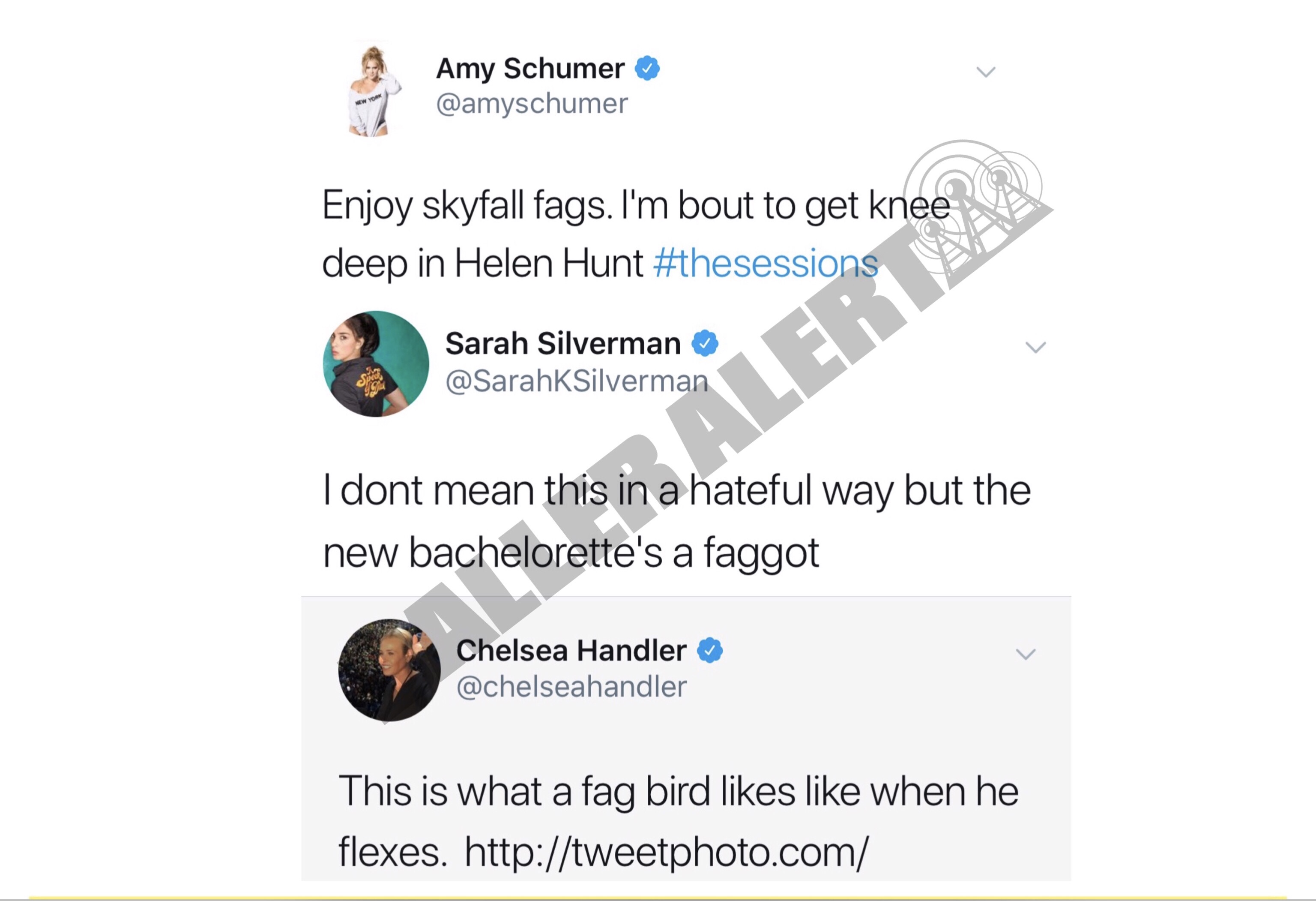 Old Homophobic Tweets Surface From Chelsea Handler, Amy Schumer and Sarah Silverman