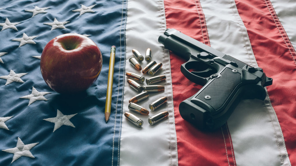 Gun for School teachers