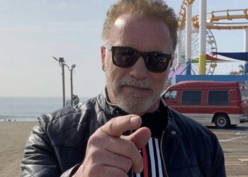 Arnold Schwarzenegger Swatted on Thanksgiving After 911 Call About Bomb in His Mailbox