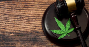 Voters Reject Legalizing Recreational Marijuana in Oklahoma