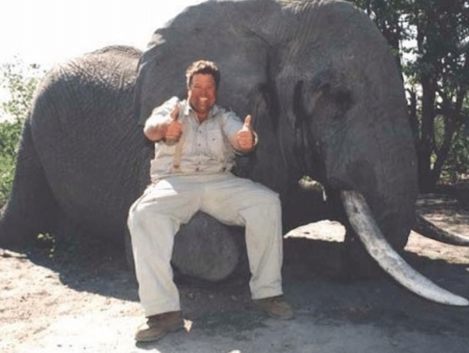 #BoycottJimmyJohns Trends After Owner Poses With Dead Elephant In Resurfaced Photo
