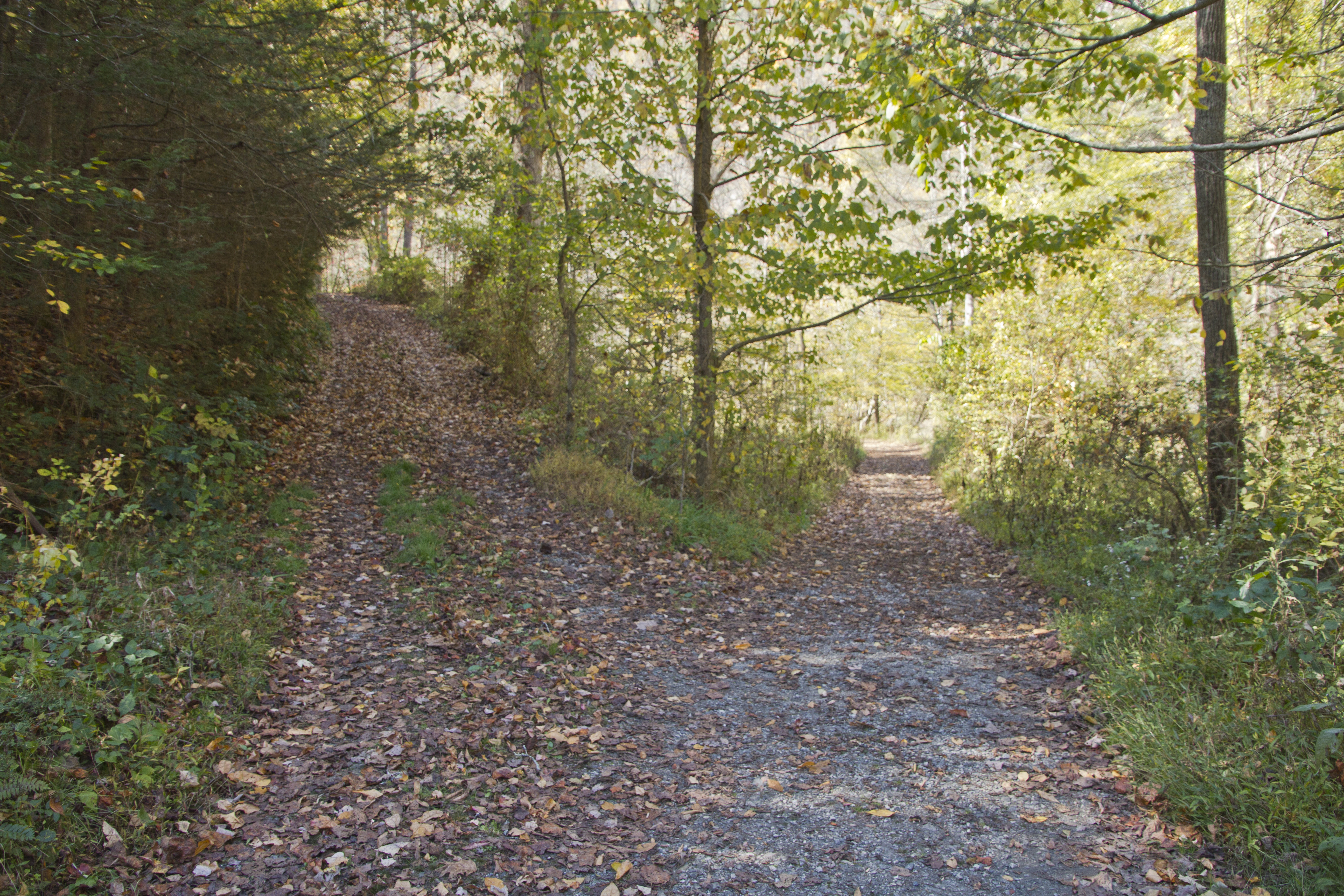 The High Road black people