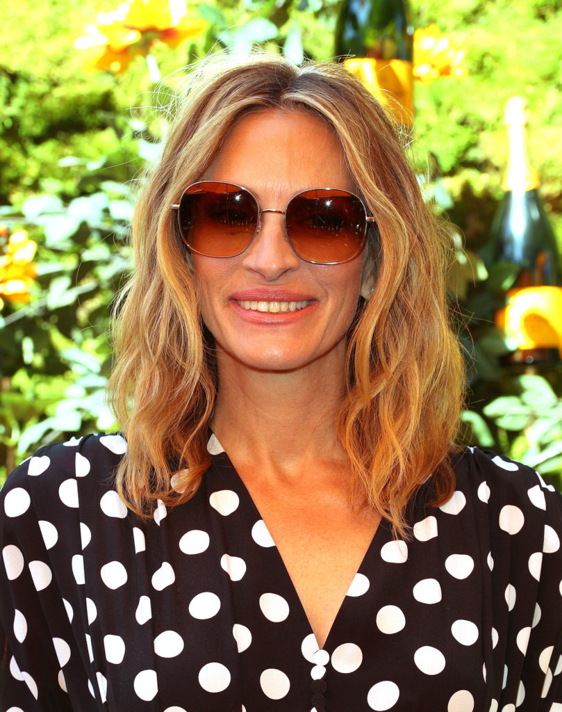 Julia Roberts Suggested to Play Harriet