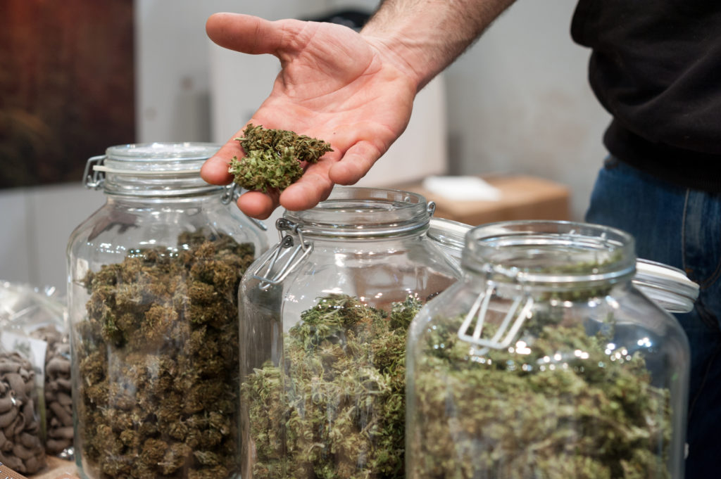 weed legalization