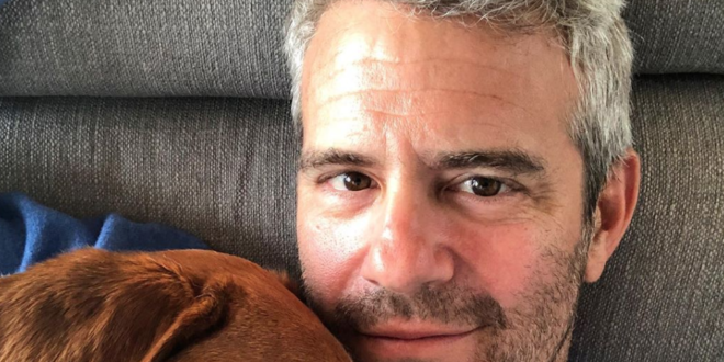 Andy COhen Gets A show