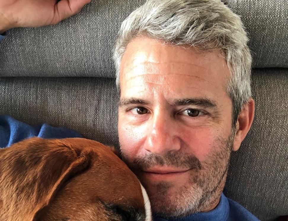 Andy COhen Gets A show 