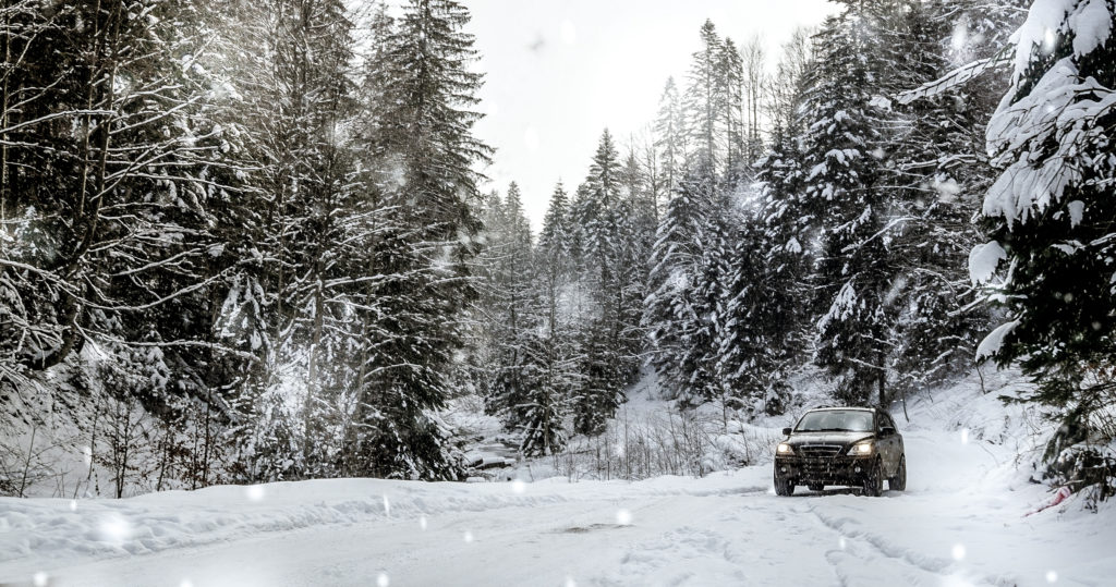 Snowball Fight