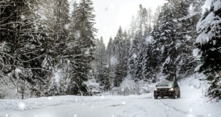 Woman Survives Being Stranded In Snowy California Forest For Six Days By Eating Snow And Yogurt