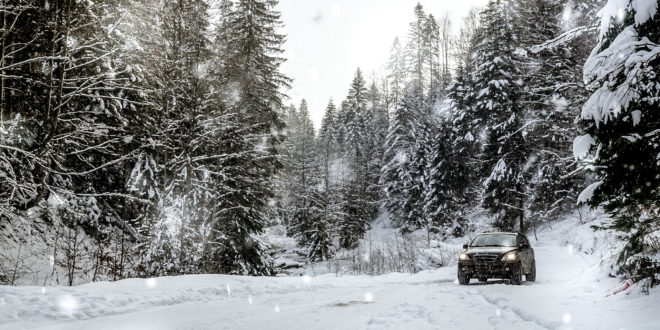 Woman Survives Being Stranded In Snowy California Forest For Six Days By Eating Snow And Yogurt