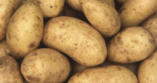 Potatoes for hemorrhoids