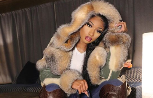 Megan Thee Stallion Sues