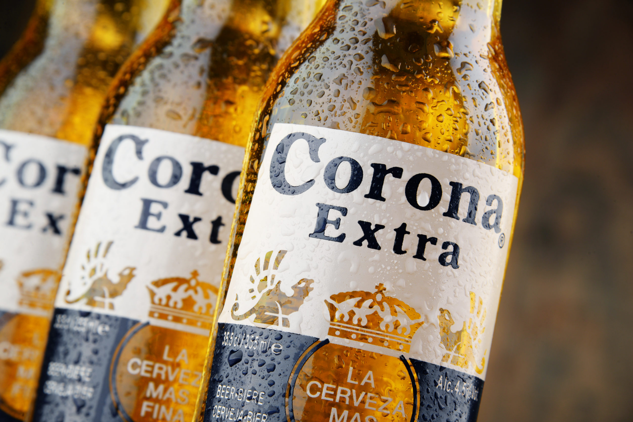 Corona Beers Production Shutdown