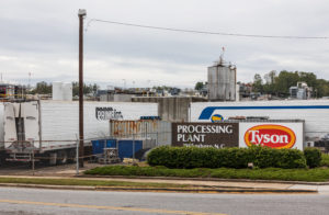 tyson Plant