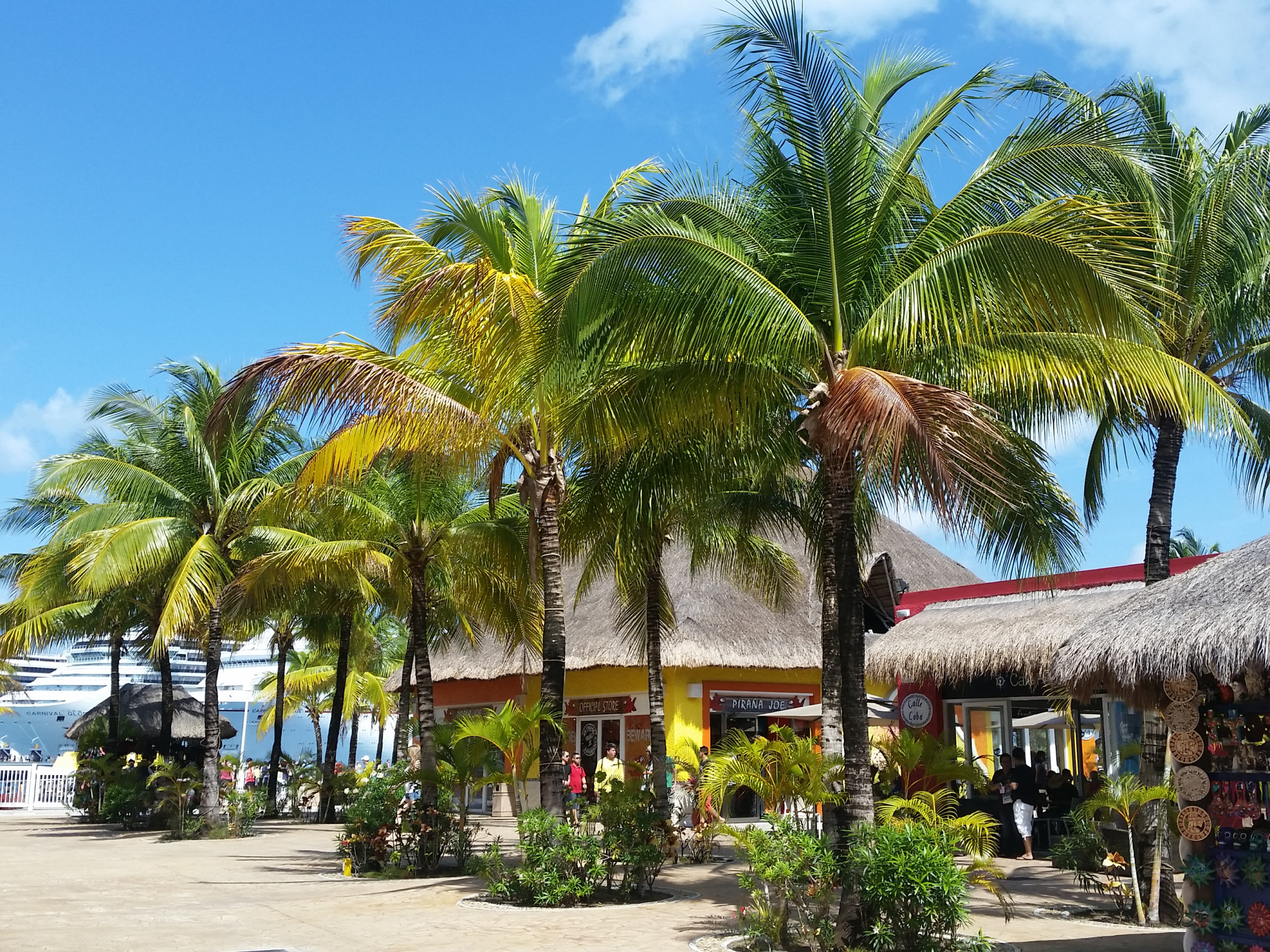 Expedia Launches New ChatGPT Feature To Help Users Plan Trips