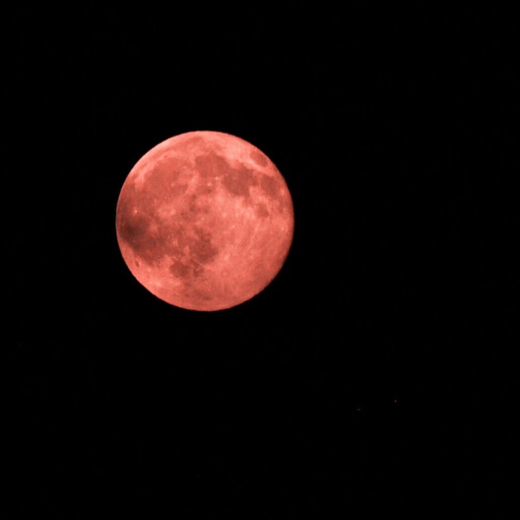 Pink Moon 