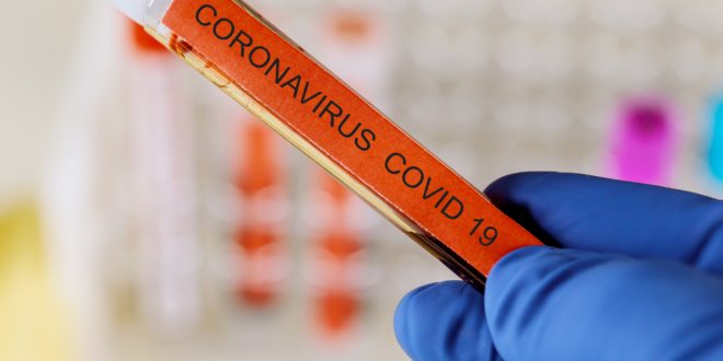 coronavirus antibodies