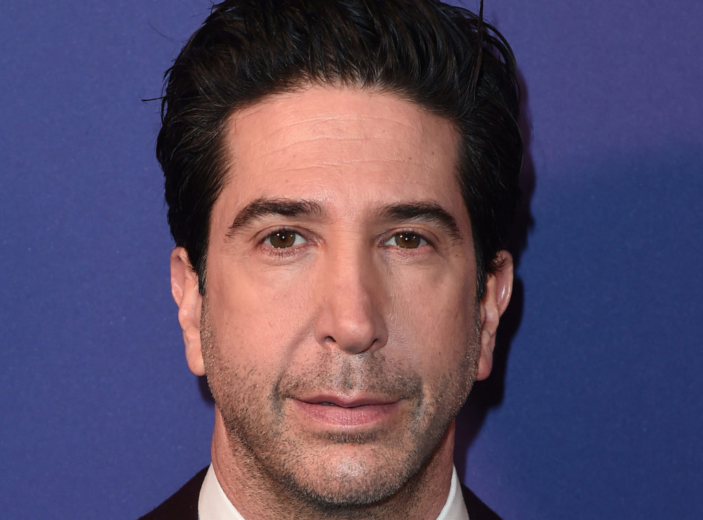 david schwimmer