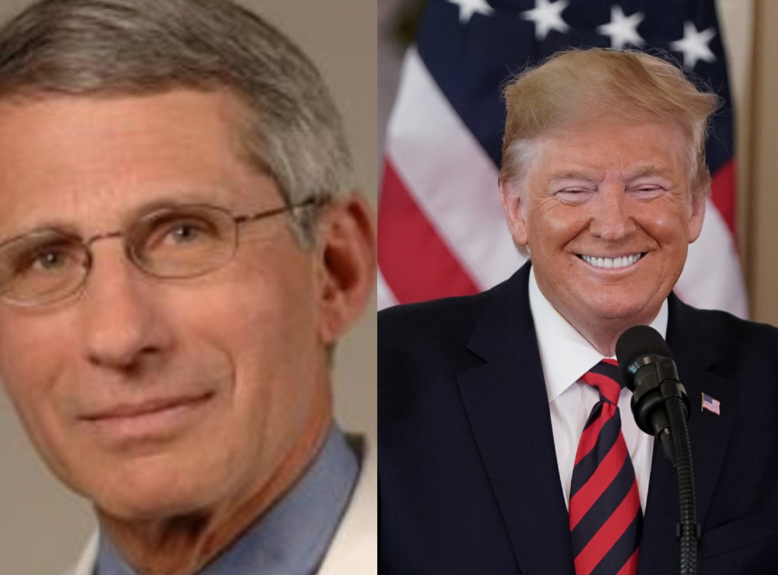 Trump n Fauci