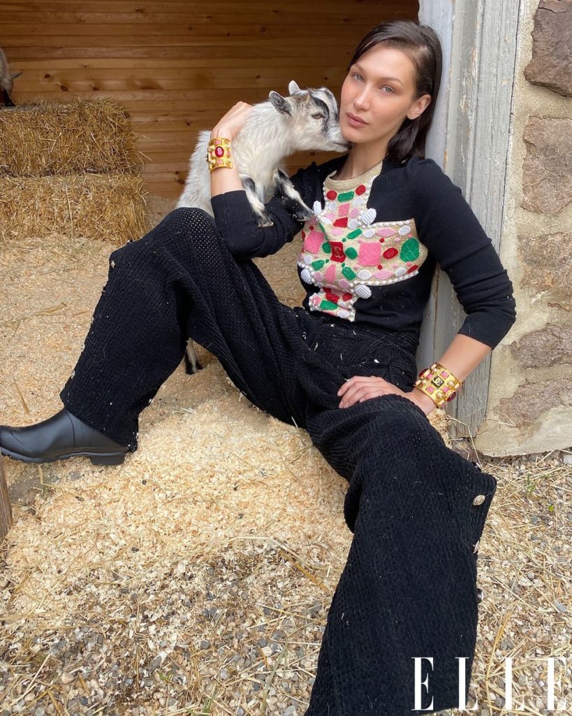 Gigi Hadid and Bella Hadid