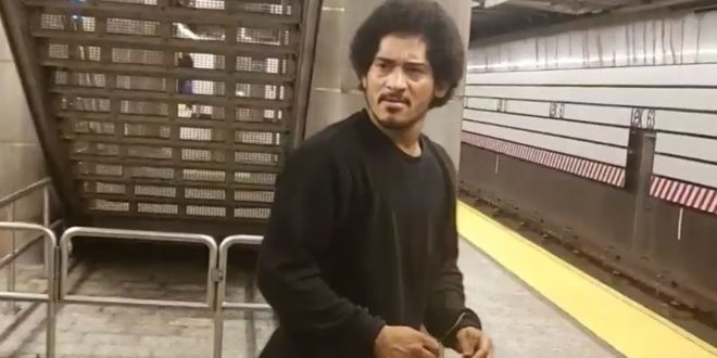 Subway Attempted Rapist