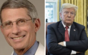 trump fauci