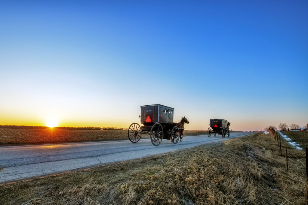 3 Dead, 4 Injured In Horse And Buggy Accident With Dump Truck