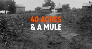 40 acres & a mule