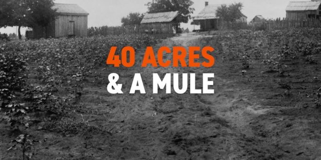 40 acres & a mule