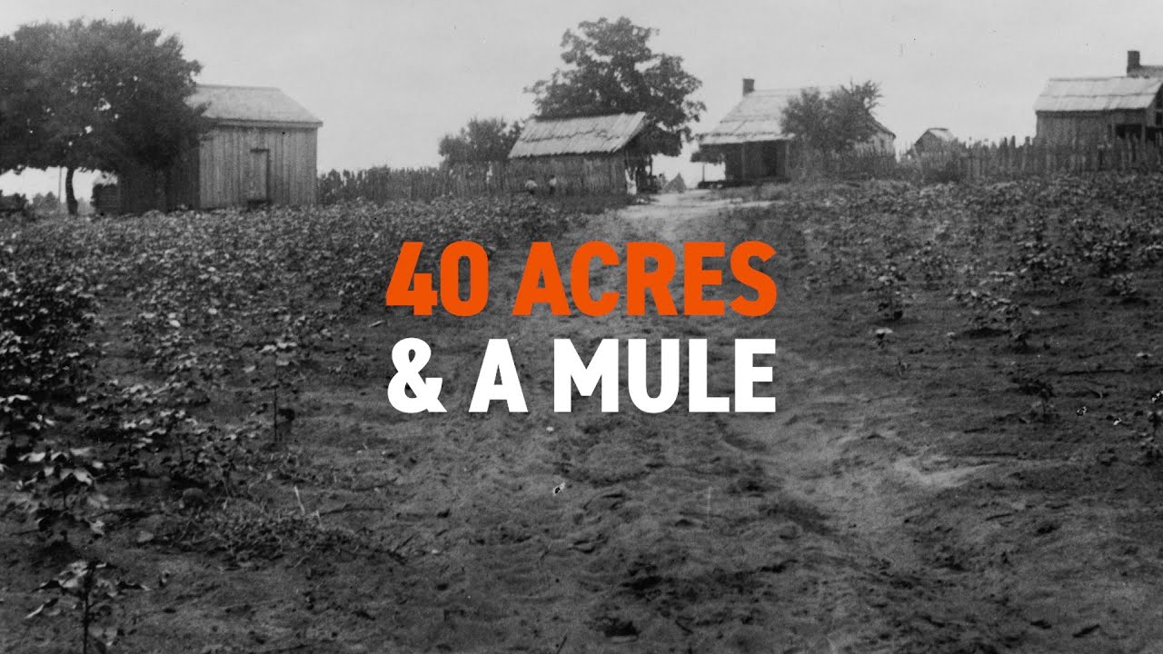 40 acres & a mule