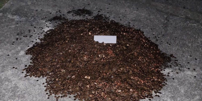 The pile of pennies in Andreas Flaten's driveway (Credit: Olivia Oxley)