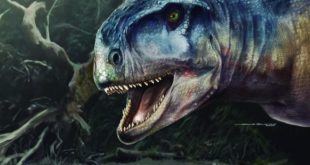 Paleontologist Discover New Dinosaur In Argentina, The Llukalkan Aliocranianu