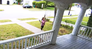 woman tells neighbor you're not the right color