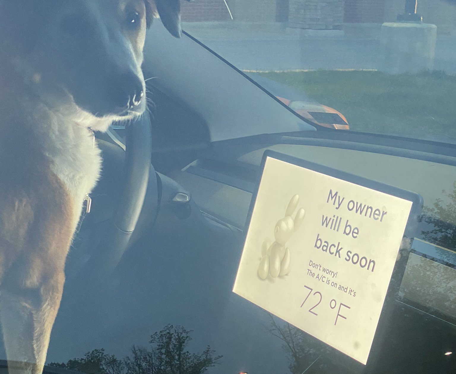 End-Of-The-Week-Funnies (Tweets That Is!)