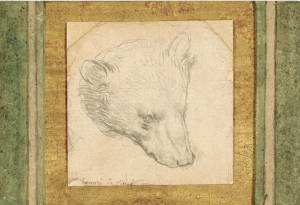 Leonardo da Vinci's "Head of Bear"