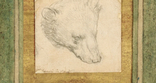 Leonardo da Vinci's "Head of Bear"