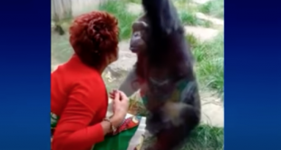 zoo bans woman