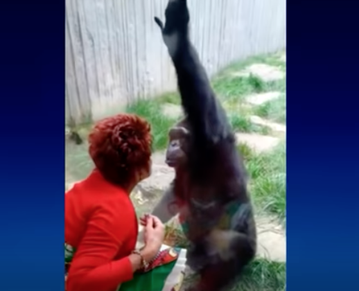 zoo bans woman