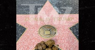 trump hollywood star covered in dog poop