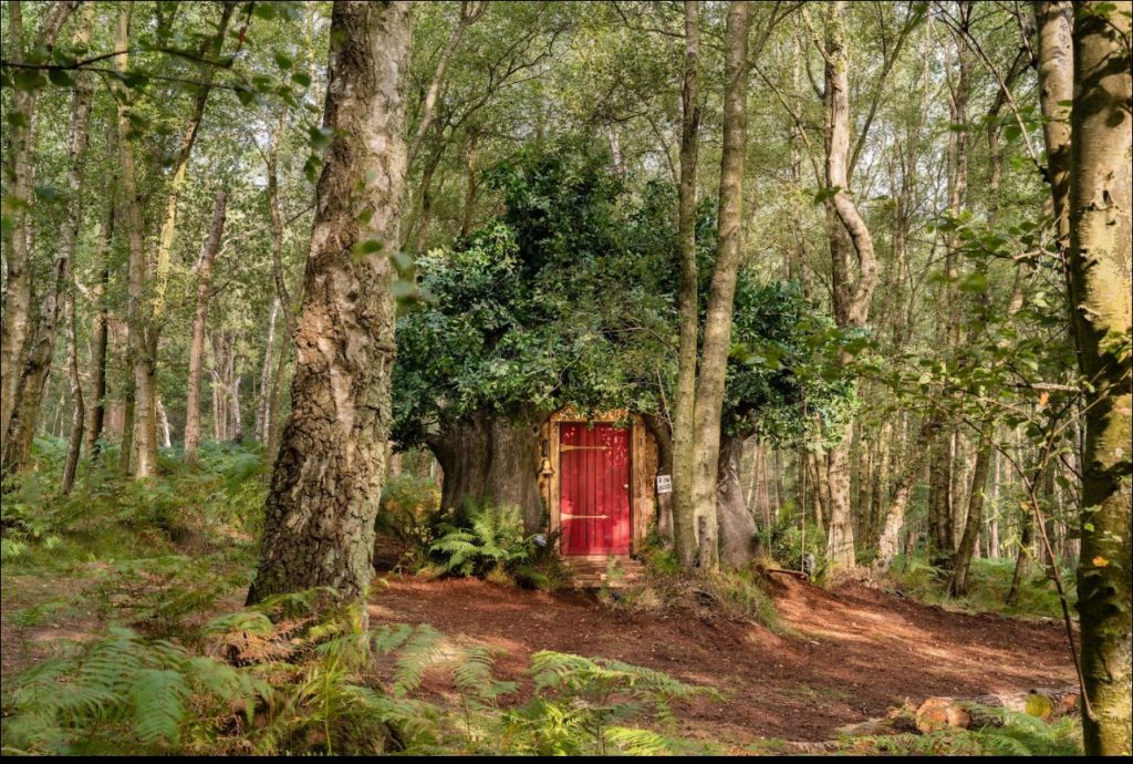 Ten Of The Most Unique Airbnb Listings - Baller Alert Ten Of The Most Unique Airbnb Listings