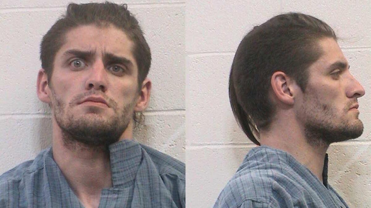 Colorado Man Accused Of Sex With Horse Escapes Jail