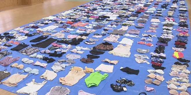 Panties and bras stolen by Tetsuo Urata.