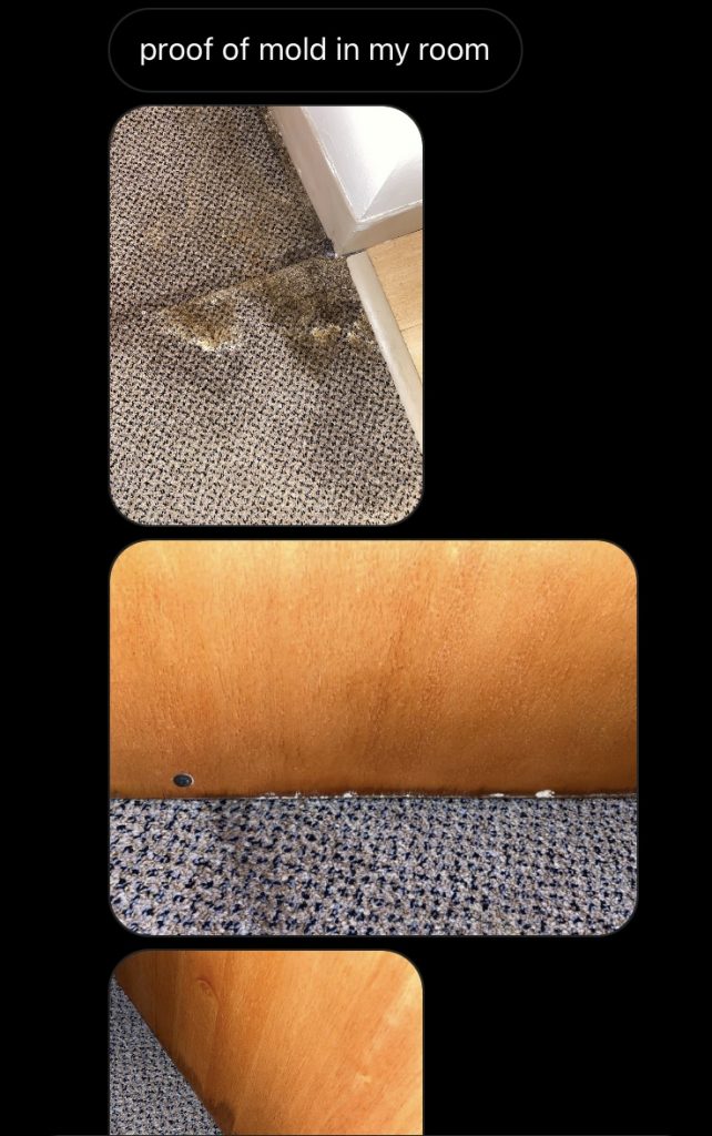 Howard University Dorm rooms