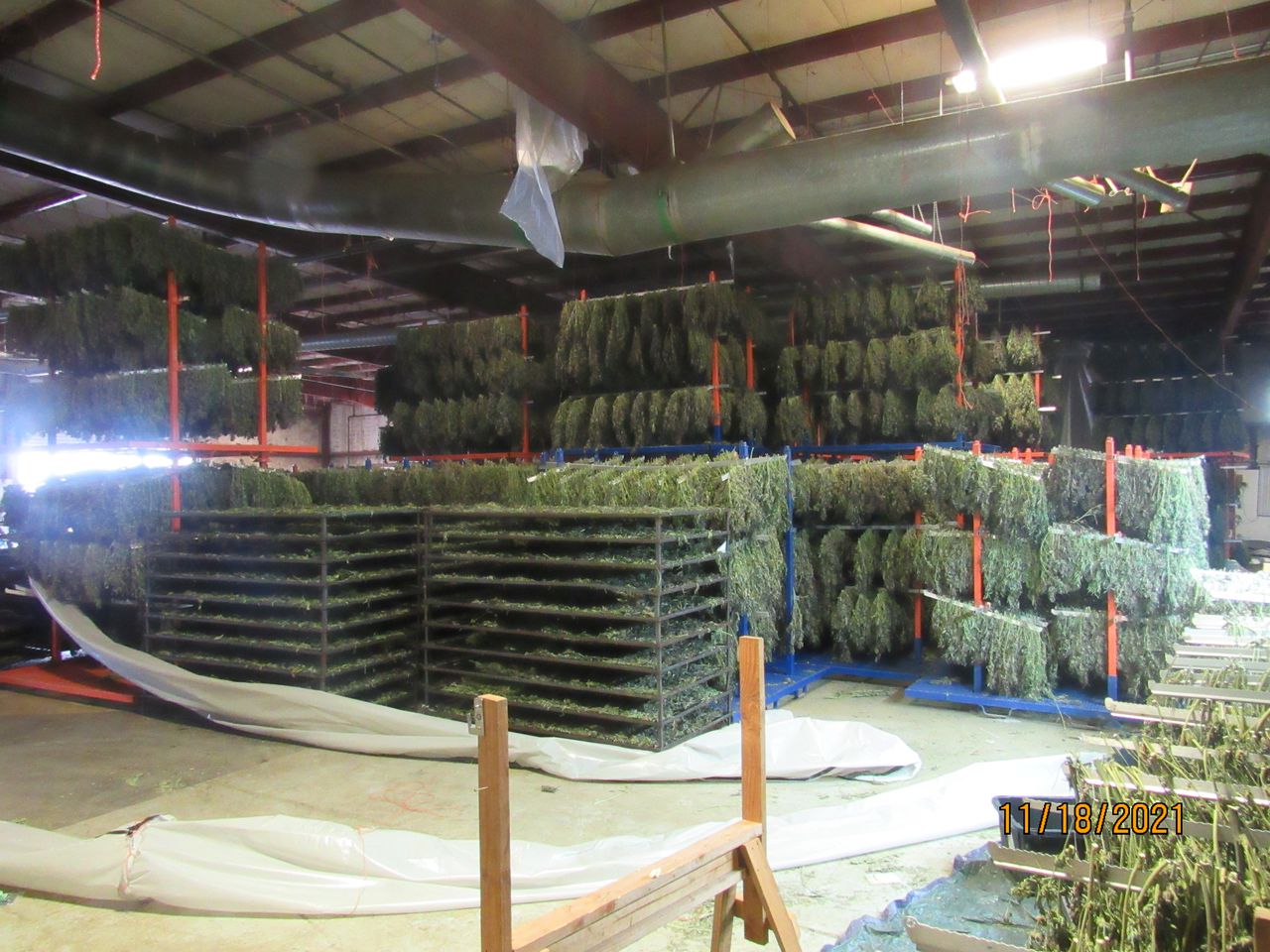 Oregon weed bust
