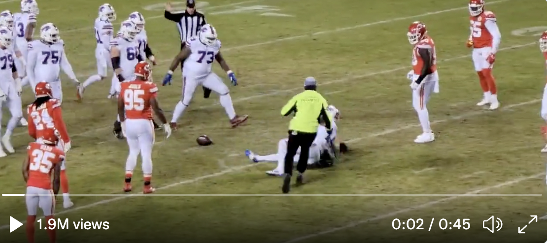 stefon diggs tackles fan