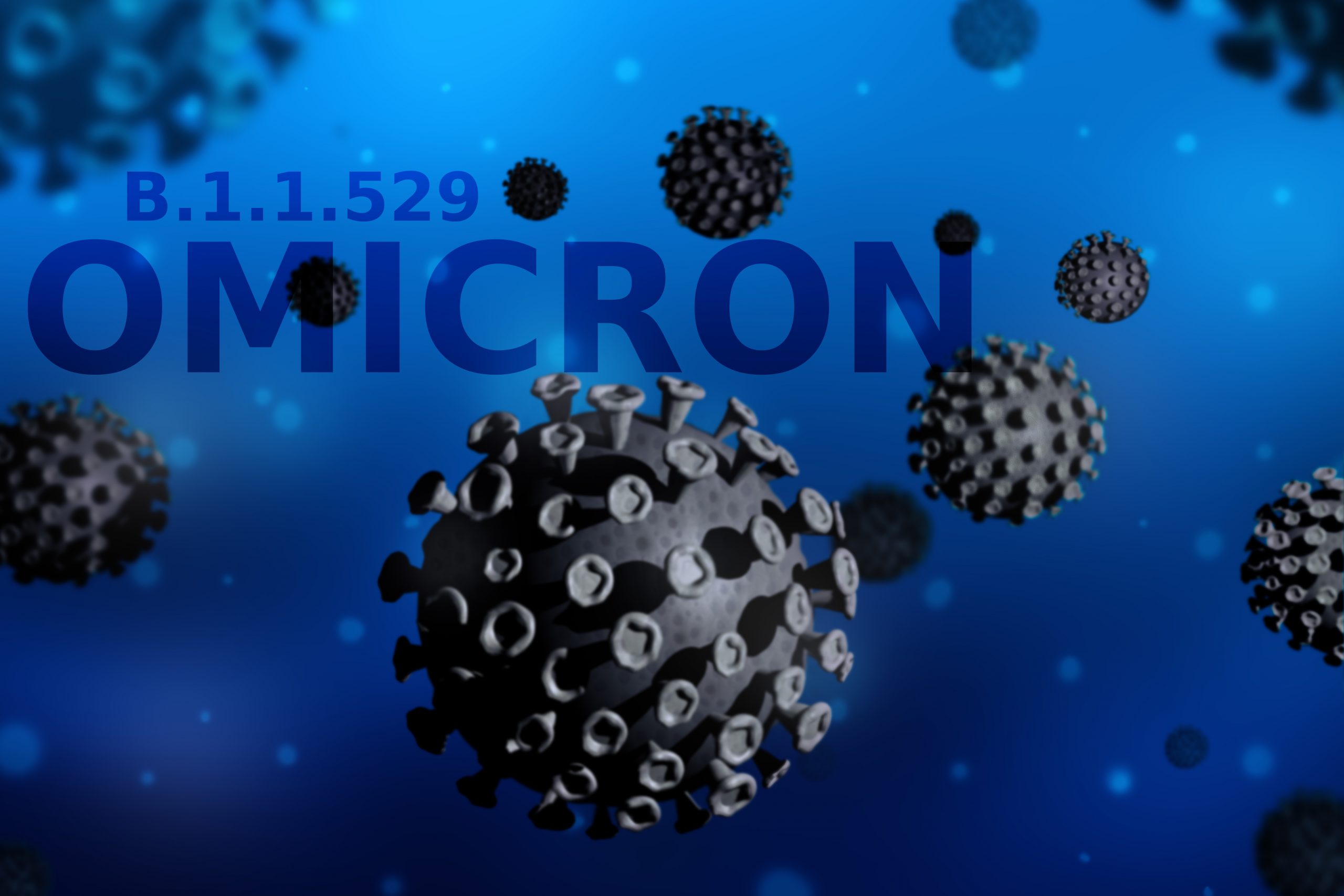 a corona virus omicron variant composition - Baller Alert covid-19 omicron