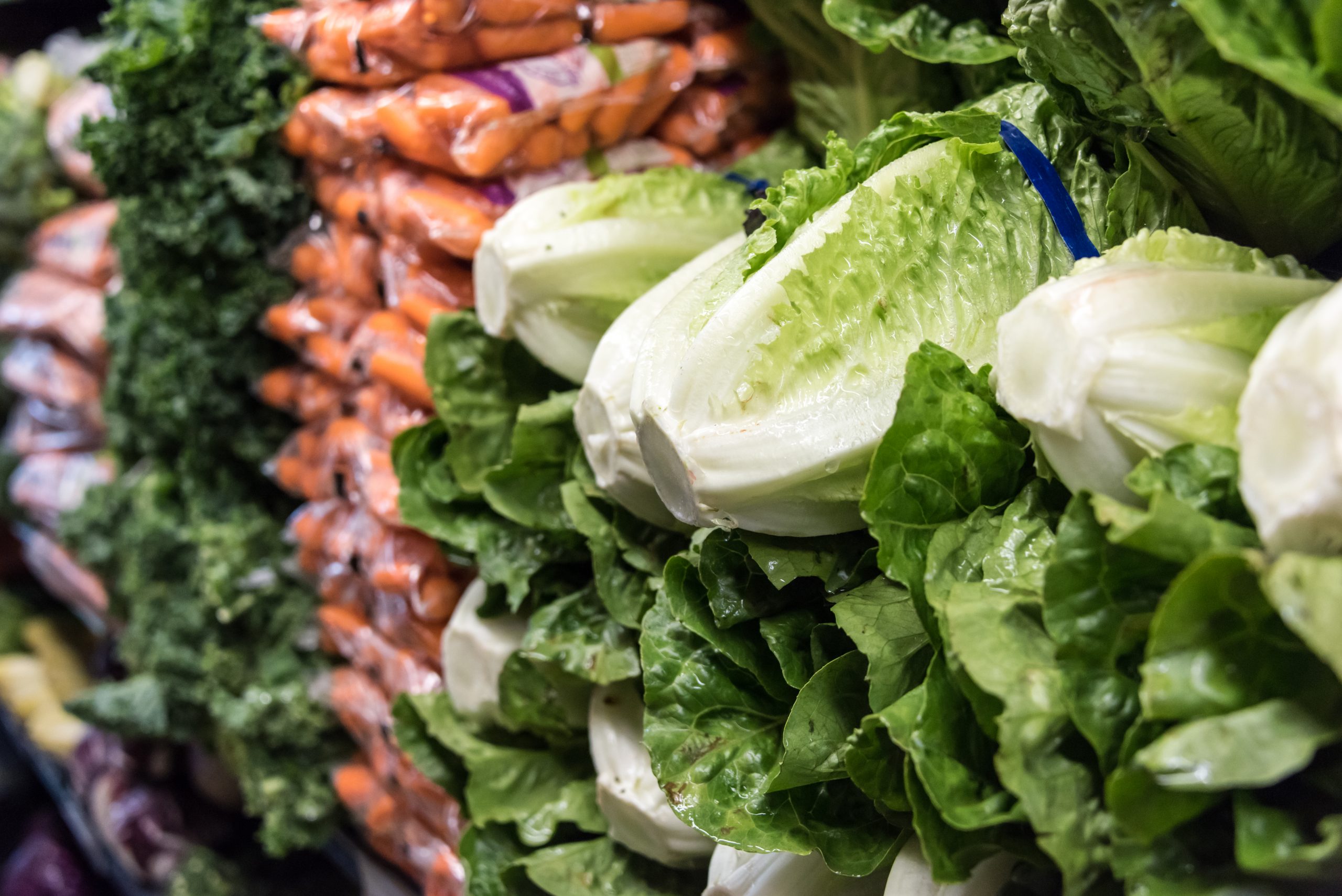 Organic Romaine lettuce for sale - Baller Alert Romaine lettuce