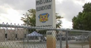 teacher attacked by student at pines elem